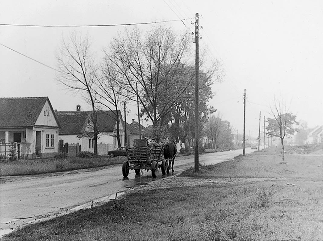 FOTOS JOHANNA KANDL 1980 – 1995